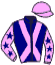 casaque portée par Nicoleau J. jockey du cheval de course ZILYA, information pmu ZETURF casaque portée par Nicoleau J. jockey du cheval de course ZILYA, information pmu ZETURF