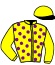 casaque portée par Lerenard A. jockey du cheval de course JANGO, information pmu ZETURF