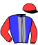 casaque portée par Verva Pie. Y. jockey du cheval de course HASHTAG CHAMANT, information pmu ZETURF