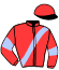 casaque portée par Lerenard A. jockey du cheval de course LOULOU DE L'ILLE, information pmu ZETURF casaque portée par Lerenard A. jockey du cheval de course LOULOU DE L'ILLE, information pmu ZETURF