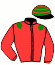 casaque portée par Lemaitre A. jockey du cheval de course RUE DU PERCHE, information pmu ZETURF casaque portée par Lemaitre A. jockey du cheval de course RUE DU PERCHE, information pmu ZETURF