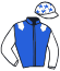 casaque portée par Bally A. jockey du cheval de course ALAMSAR, information pmu ZETURF
