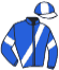 casaque portée par Ruet B. jockey du cheval de course KRAK DE BUSSIERES, information pmu ZETURF