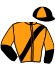 casaque portée par Sorel J. Ch. jockey du cheval de course LOUANE DE VEAUCE, information pmu ZETURF