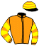 casaque portée par Raybould Mlle K. jockey du cheval de course SPIRIT OF EAGLE, information pmu ZETURF