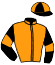 casaque portée par Alexandre Roussel jockey du cheval de course JANVIL MORINIERE, information pmu ZETURF