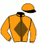casaque portée par Lepage Axe. jockey du cheval de course STAR FLYING, information pmu ZETURF casaque portée par Lepage Axe. jockey du cheval de course STAR FLYING, information pmu ZETURF