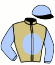 casaque portée par Meunier E. jockey du cheval de course AORAKI, information pmu ZETURF casaque portée par Meunier E. jockey du cheval de course AORAKI, information pmu ZETURF