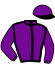 casaque portée par Durville Mar. jockey du cheval de course DIANE TONNEVILLE (FR), information pmu ZETURF