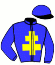 casaque portée par Roussel Ale. jockey du cheval de course GRIBARIANE (FR), information pmu ZETURF