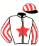 casaque portée par Plassais J. jockey du cheval de course GROUPE DE POTES (FR), information pmu ZETURF