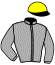 casaque portée par Delalande M. jockey du cheval de course AIGLE VAILLANT (FR), information pmu ZETURF