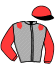 casaque portée par Etienne E. jockey du cheval de course GOUACHE, information pmu ZETURF