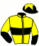 casaque portée par Delalande M. jockey du cheval de course SWEET BETSY, information pmu ZETURF