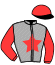 casaque portée par Lebourgeois Y. jockey du cheval de course HUDSON BAIE, information pmu ZETURF