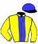 casaque portée par Bourgeais A. jockey du cheval de course SASHEMY, information pmu ZETURF