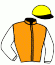 casaque portée par Bachelot T. jockey du cheval de course SHINING YELLOW, information pmu ZETURF