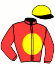 casaque portée par Vilchien A. jockey du cheval de course ALCEDIMZOE, information pmu ZETURF