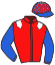 casaque portée par Raimbault C. jockey du cheval de course HYPNOTIZED, information pmu ZETURF