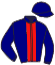 casaque portée par Delaunay Jor. jockey du cheval de course STELLANIA, information pmu ZETURF