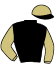 casaque portée par Verhestraeten E. jockey du cheval de course LADY KYRA, information pmu ZETURF casaque portée par Verhestraeten E. jockey du cheval de course LADY KYRA, information pmu ZETURF