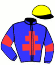 casaque portée par Inconnu jockey du cheval de course LA CLOCHARDE, information pmu ZETURF