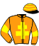 casaque portée par Champenois Mat. jockey du cheval de course JADE PAROYO, information pmu ZETURF