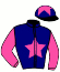 casaque portée par Louche J. C. jockey du cheval de course IRELAND TEAM, information pmu ZETURF casaque portée par Louche J. C. jockey du cheval de course IRELAND TEAM, information pmu ZETURF