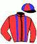 casaque portée par Rochard B. jockey du cheval de course IGGY PERRINE, information pmu ZETURF casaque portée par Rochard B. jockey du cheval de course IGGY PERRINE, information pmu ZETURF