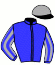 casaque portée par Congard R. jockey du cheval de course JIVA, information pmu ZETURF casaque portée par Congard R. jockey du cheval de course JIVA, information pmu ZETURF