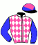 casaque portée par Hardouin E. jockey du cheval de course BE A LORD, information pmu ZETURF casaque portée par Hardouin E. jockey du cheval de course BE A LORD, information pmu ZETURF