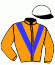 casaque portée par Berge C. jockey du cheval de course KATHAK, information pmu ZETURF