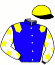 casaque portée par Velon Mlle M. jockey du cheval de course ANDOUINS, information pmu ZETURF