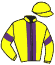 casaque portée par Lebouc Hug. jockey du cheval de course POUPEM, information pmu ZETURF
