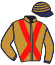casaque portée par Journiac H. jockey du cheval de course CLOTH OF SEA, information pmu ZETURF