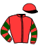 casaque portée par Raimbault C. jockey du cheval de course IANOVKA, information pmu ZETURF