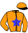 casaque portée par Lamy A. jockey du cheval de course LYANA D'ARC, information pmu ZETURF casaque portée par Lamy A. jockey du cheval de course LYANA D'ARC, information pmu ZETURF