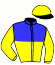 casaque portée par Herserant C. jockey du cheval de course KAEPERNICK, information pmu ZETURF casaque portée par Herserant C. jockey du cheval de course KAEPERNICK, information pmu ZETURF