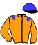 casaque portée par Molins Mlle A. jockey du cheval de course ESQUINA (FR), information pmu ZETURF