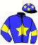 casaque portée par Toussaint C. jockey du cheval de course EMIR DE CHENU, information pmu ZETURF