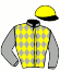 casaque portée par Ensch N. jockey du cheval de course FILLY BROWN (FR), information pmu ZETURF