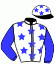 casaque portée par Cheminaud V. jockey du cheval de course SANDERLING (FR), information pmu ZETURF