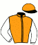 casaque portée par Barzalona M. jockey du cheval de course ROCK OF THE GLADE (FR), information pmu ZETURF
