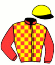 casaque portée par Blondel F. jockey du cheval de course PRINCE DECALAS (FR), information pmu ZETURF