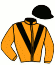 casaque portée par Koplik R. jockey du cheval de course ARCTURUS, information pmu ZETURF