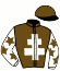 casaque portée par Ohanessian Mlle J. jockey du cheval de course HOUBLON, information pmu ZETURF