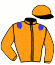 casaque portée par Antoniotti Mlle L. jockey du cheval de course GALIGOLD, information pmu ZETURF casaque portée par Antoniotti Mlle L. jockey du cheval de course GALIGOLD, information pmu ZETURF