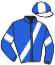 casaque portée par Peltier F. J. jockey du cheval de course KRAK DE BUSSIERES, information pmu ZETURF