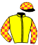casaque portée par Sanchez Gar. jockey du cheval de course VICTORY STREET, information pmu ZETURF