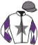 casaque portée par Ruis S. jockey du cheval de course BREIZH WOOD, information pmu ZETURF